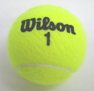 М'ячі для гольфу Wilson Championship 3 шт. (внутрішній тиск)