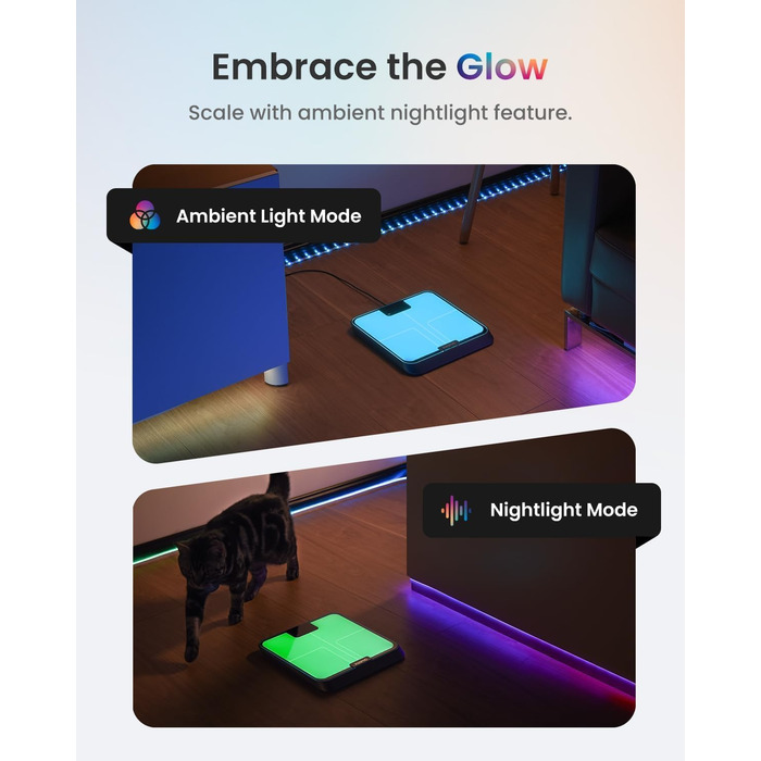 Вага RENPHO для вимірювання жиру в тілі, Bluetooth, для персонального використання, з нагадуваннями, перезаряджувана, 180 кг, 30 см