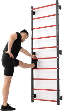 Шведська стінка Marbo Sport для монтажу на стіну, 230x81 см, MH-U204, вироблено в ЄС
