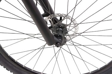 Електровелосипед F.lli Schiano E-Jupiter 27.5