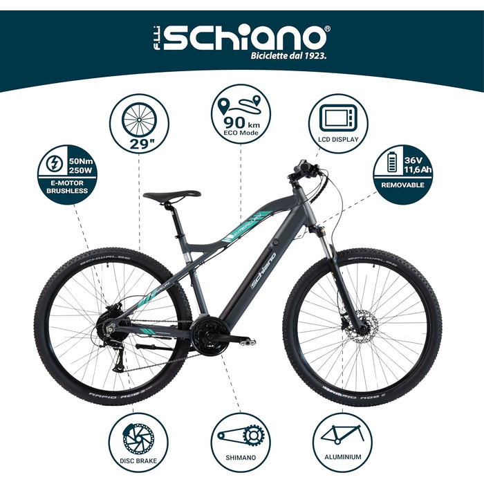 Електровелосипед F.lli Schiano E-Mercury 29