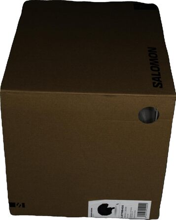 Шолом для лиж та сноуборду Salomon Driver Access з візором для чоловіків