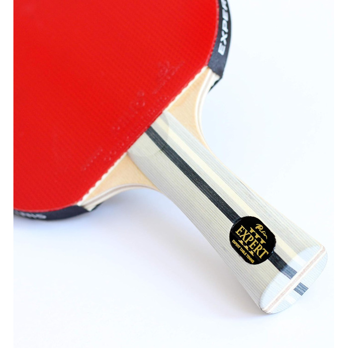 Ракетка для настільного тенісу Palio Expert 3.0 з кейсом | ITTF, професійна, для початківців | Максимальний спін та контроль