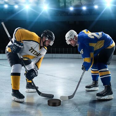 Керлінг-шайби Zealor Schwarz 30